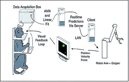 Brain–computer interfaces
