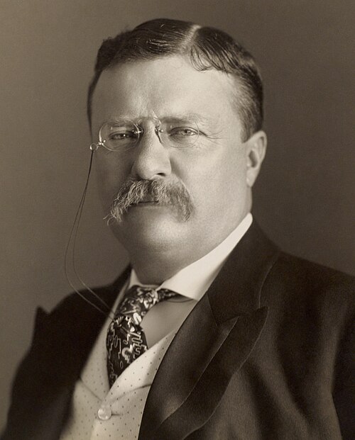 Theodore Roosevelt