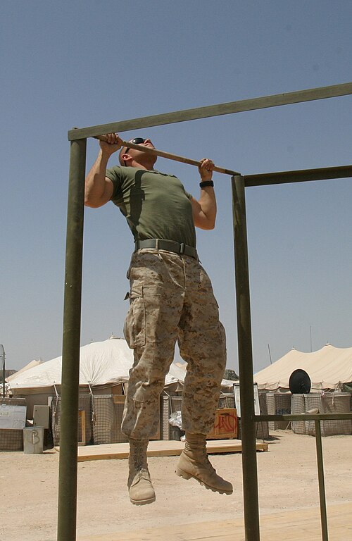 Pull-up