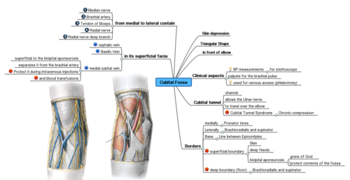 Mind maps