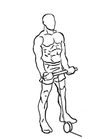 Biceps curl