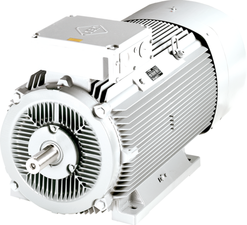 Electric motor