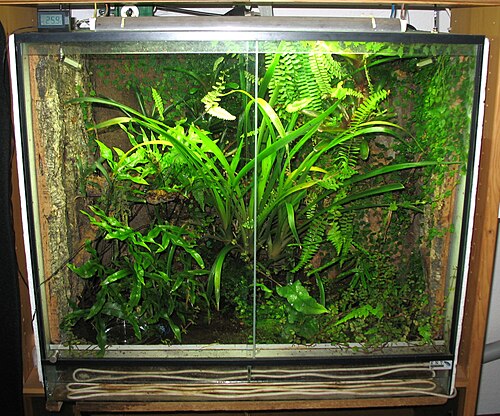 Terrarium