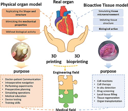3D bioprinting