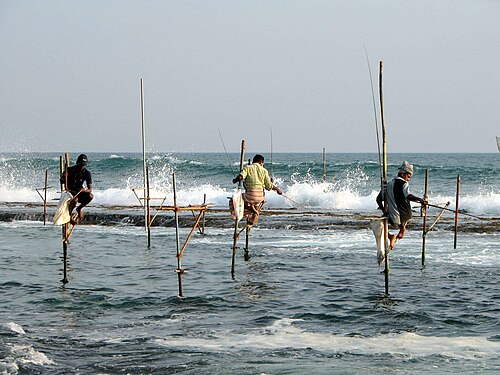 Fishing