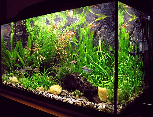 Aquariums