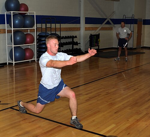 Lunge