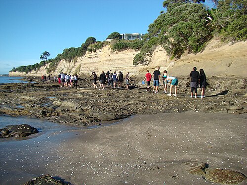 Field trips