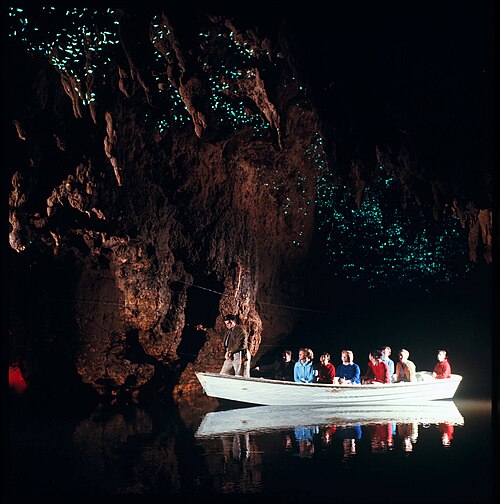 Waitomo Glowworm Caves