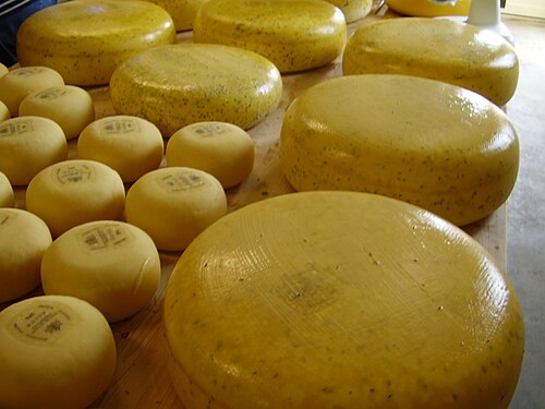 Gouda