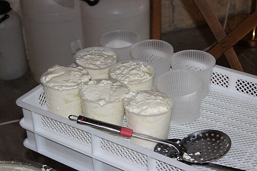 Ricotta