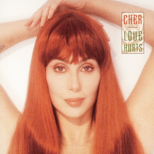 Love Hurts — Cher
