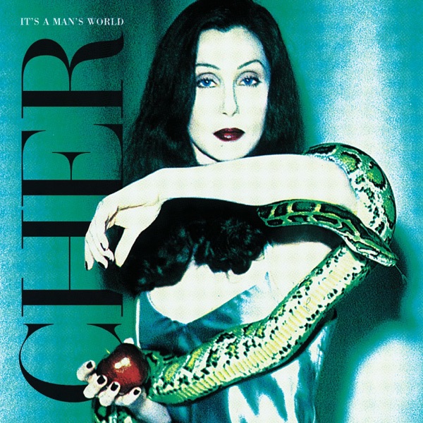 Walking In Memphis — Cher