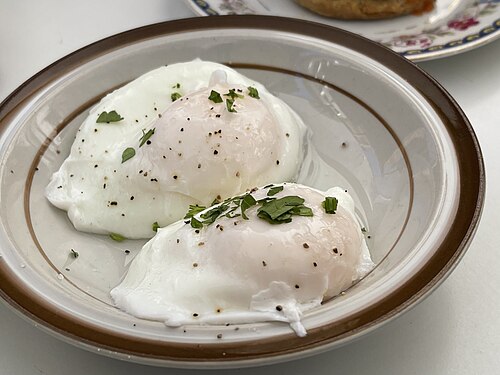 Poached Egg