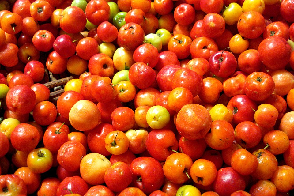 Acerola