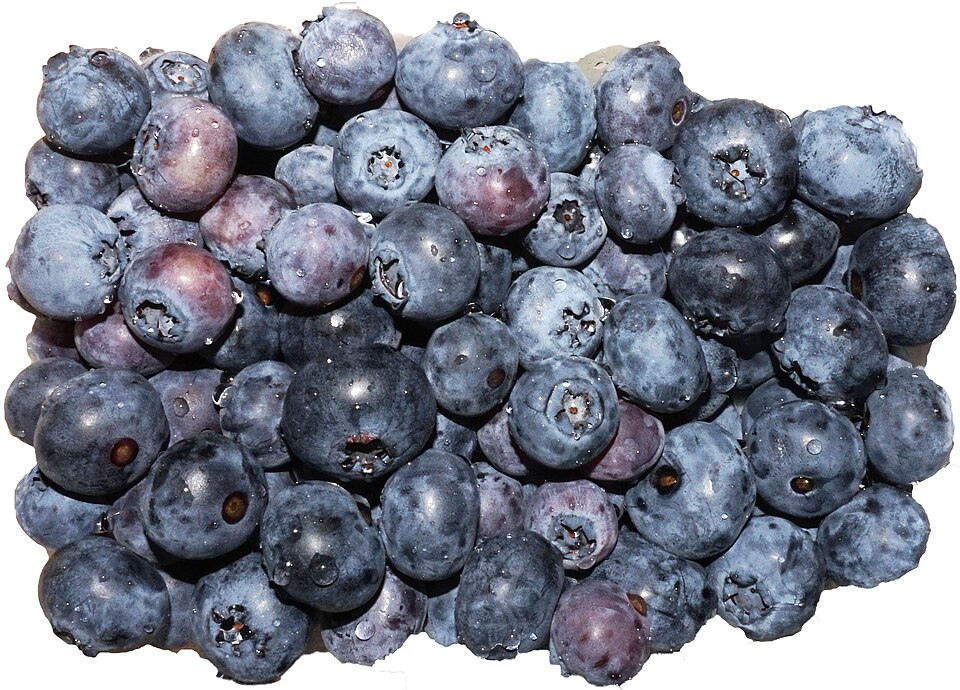 Blueberry