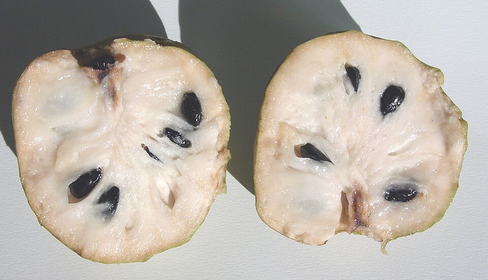 Cherimoya