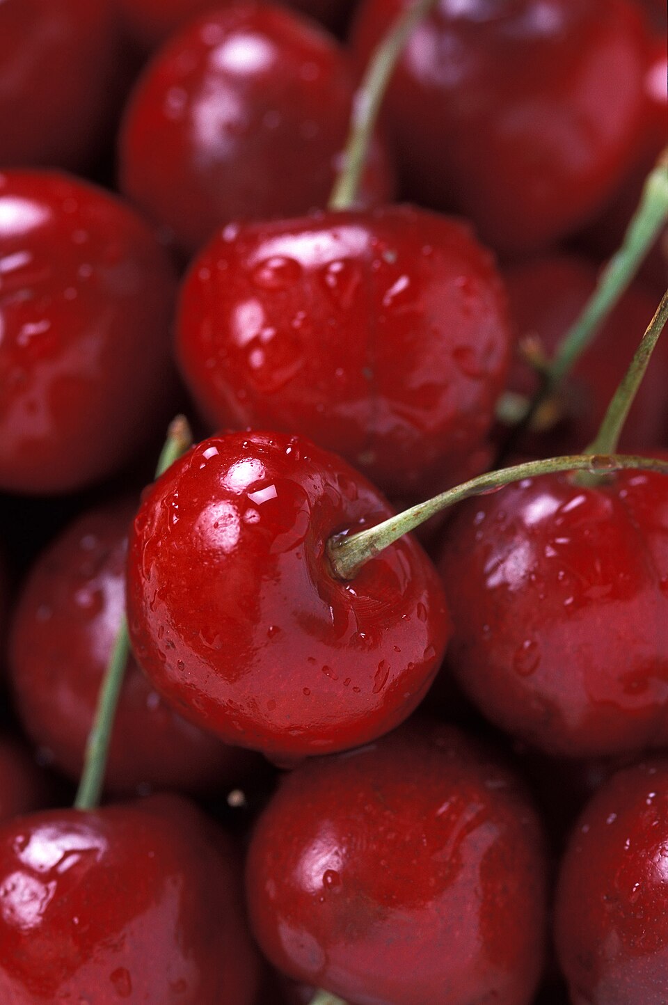 Cherry