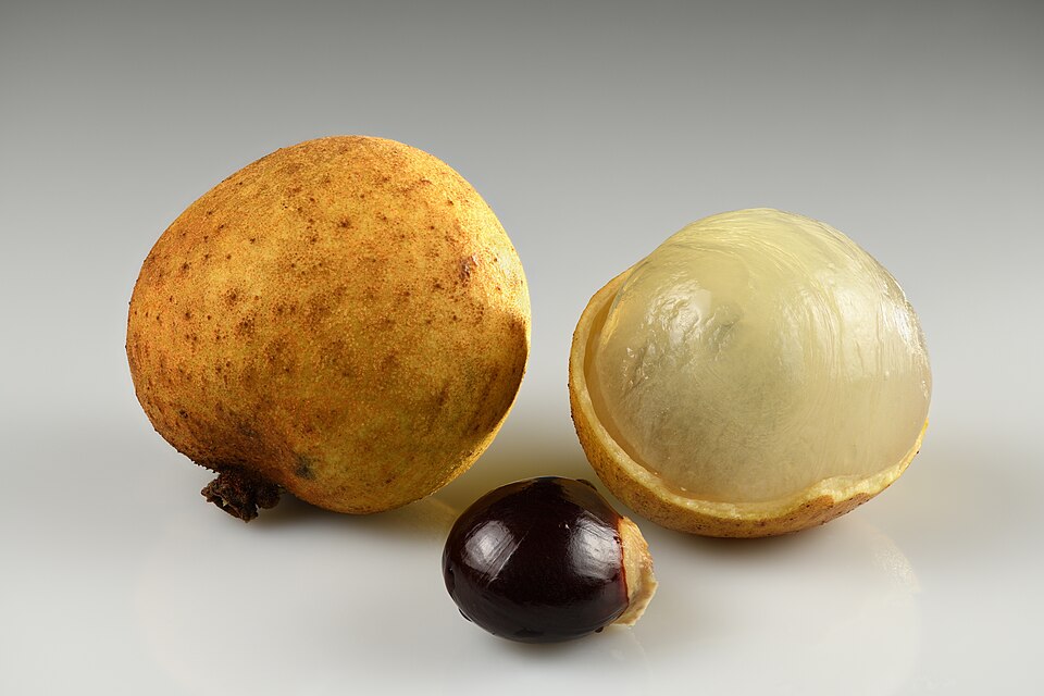 Longan