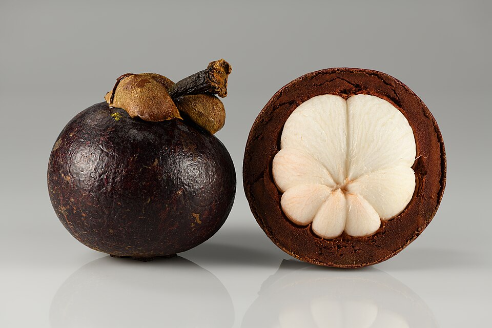 Mangosteen