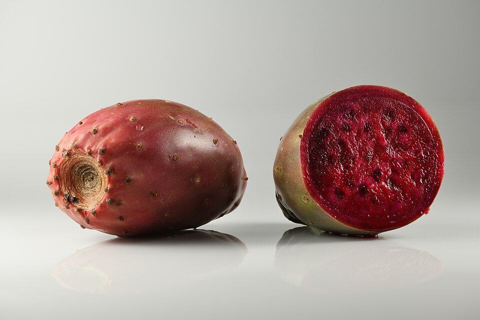 Prickly Pear