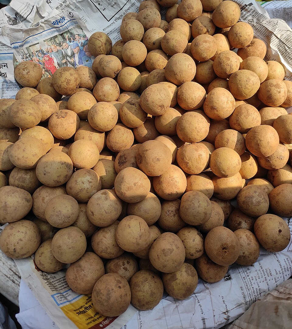 Sapodilla