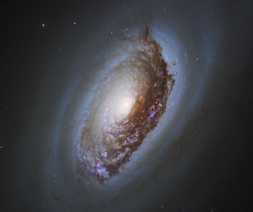 Black Eye Galaxy