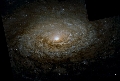 Sunflower Galaxy