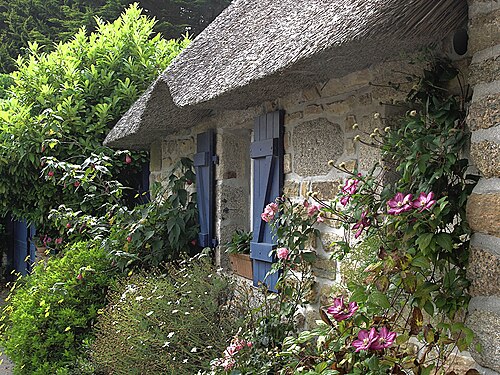 Cottage Garden