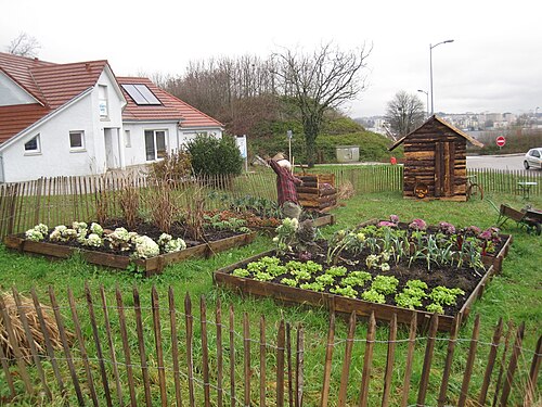 Kitchen Garden