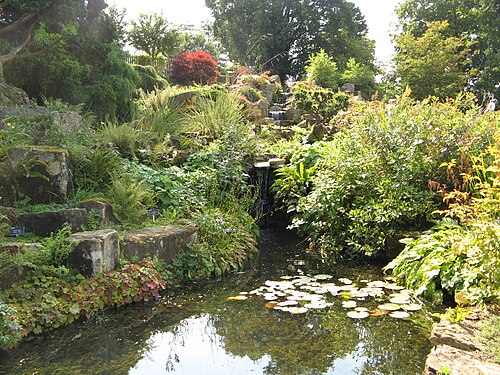 Rock Garden