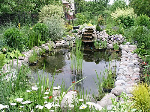 Water Garden