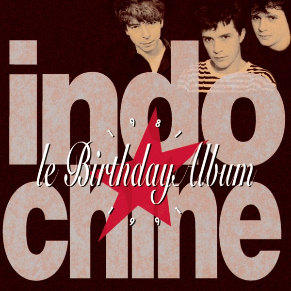 Le birthday album — Indochine