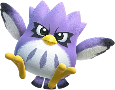 Coo