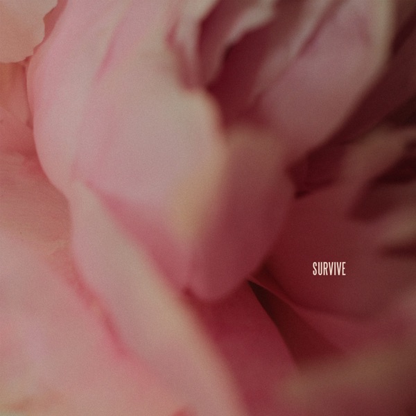 Survive — Lewis Capaldi