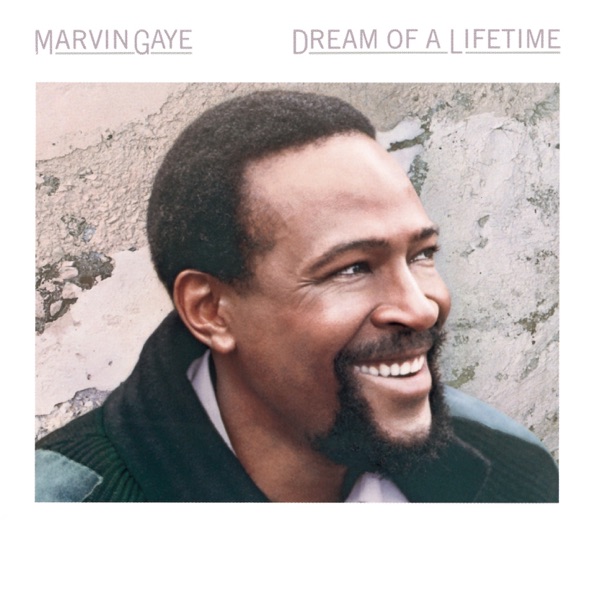 Dream of a Lifetime — Marvin Gaye