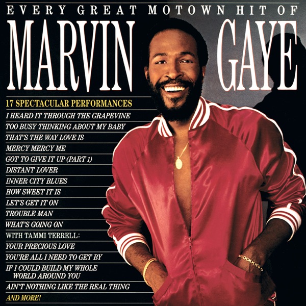 Every Great Motown Hit of Marvin Gaye — Marvin Gaye