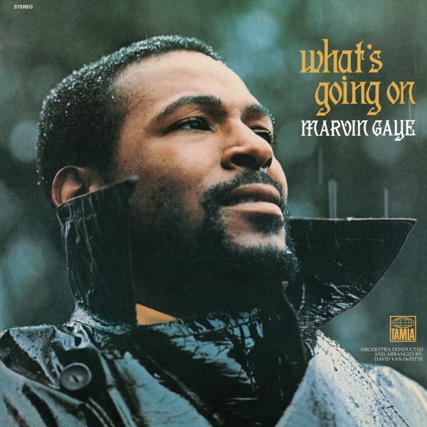 Inner City Blues (Make Me Wanna Holler) — Marvin Gaye