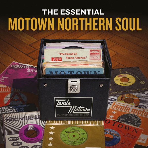 Sunny — Marvin Gaye