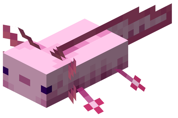 Axolotl