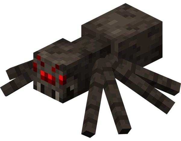 Spider
