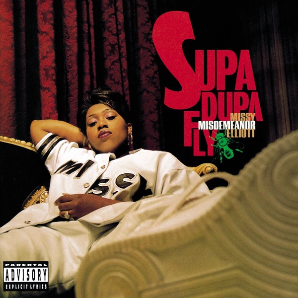 Best Friends (feat. Aaliyah) — Missy Elliott