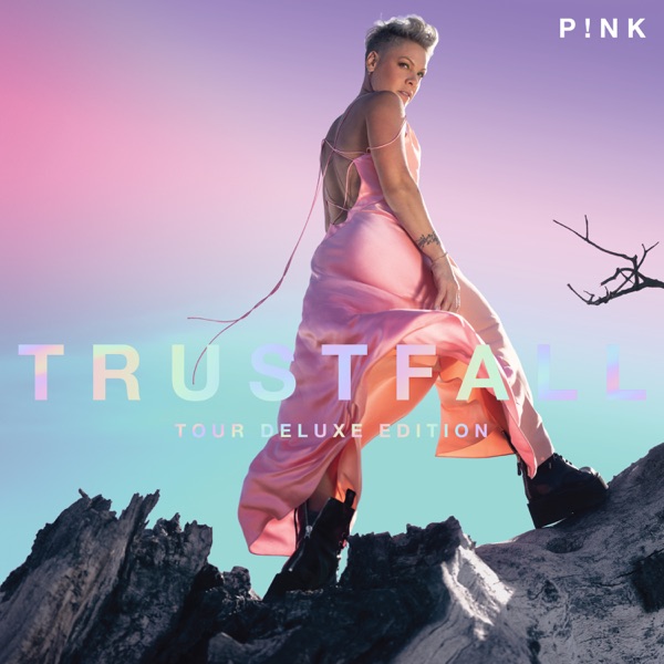 All Out Of Fight — P!nk