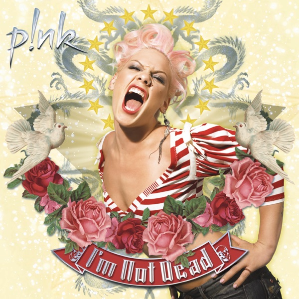Who Knew — P!nk