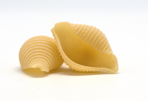 Conchiglie