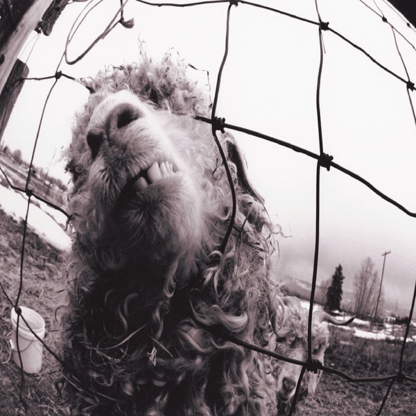 Animal — Pearl Jam