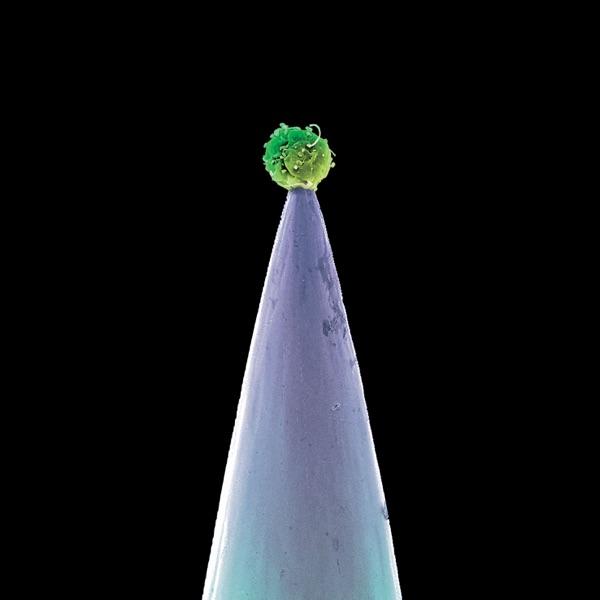 New Blood — Peter Gabriel