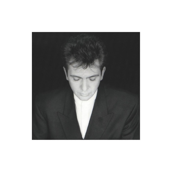 Shaking the Tree — Peter Gabriel