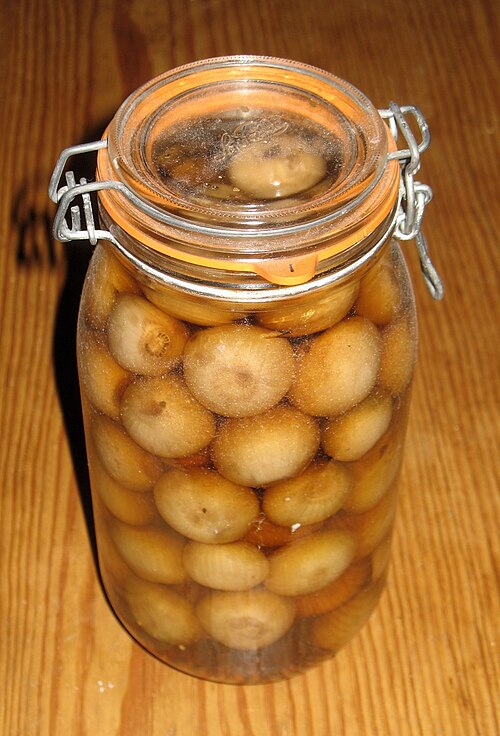Pickled Onion