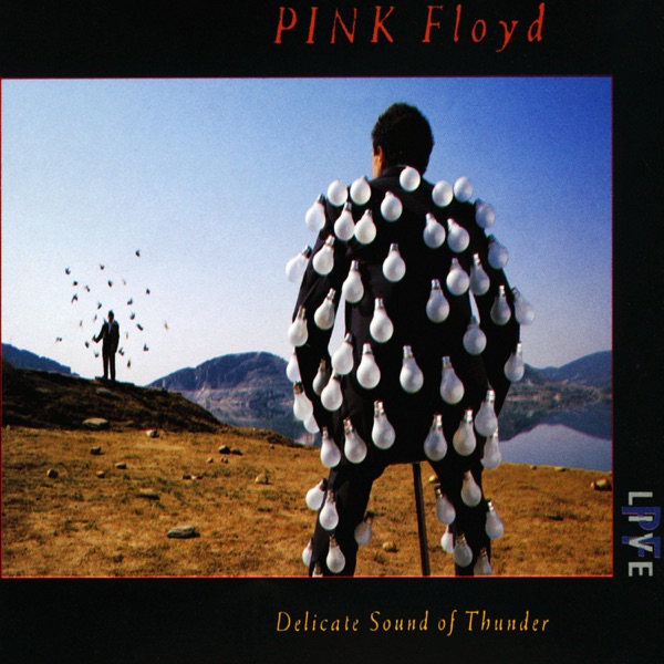 Delicate Sound of Thunder (Live) — Pink Floyd